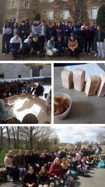 20230418_125900-COLLAGE.jpg