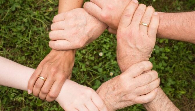 ground-group-growth-hands-461049-scaled-700x400.jpg