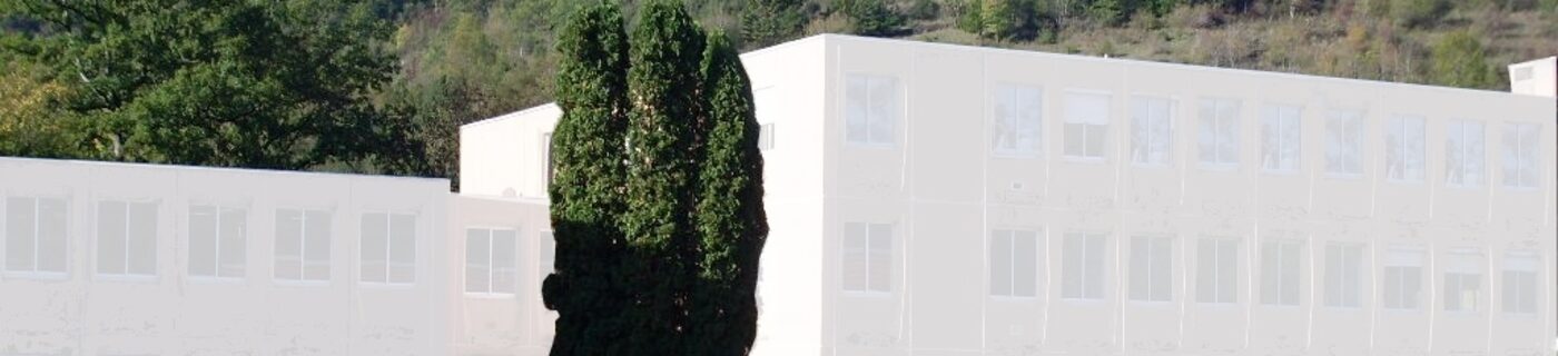SL370843bgrande.JPG